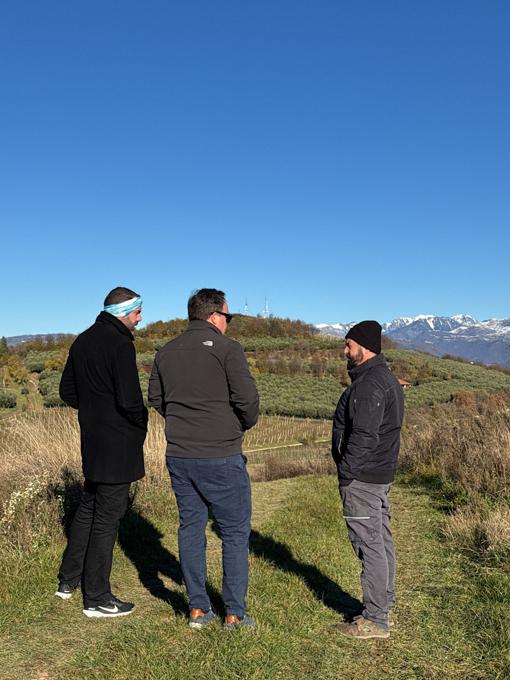 Maza, Toby and Mirko Sella in the Valpolicella vineyards: mountains in the distance, one of those views that stops you in your tracks