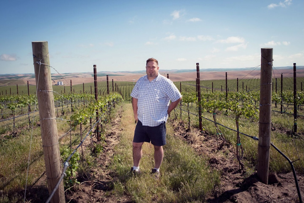 Cellar door Dave Harvey image