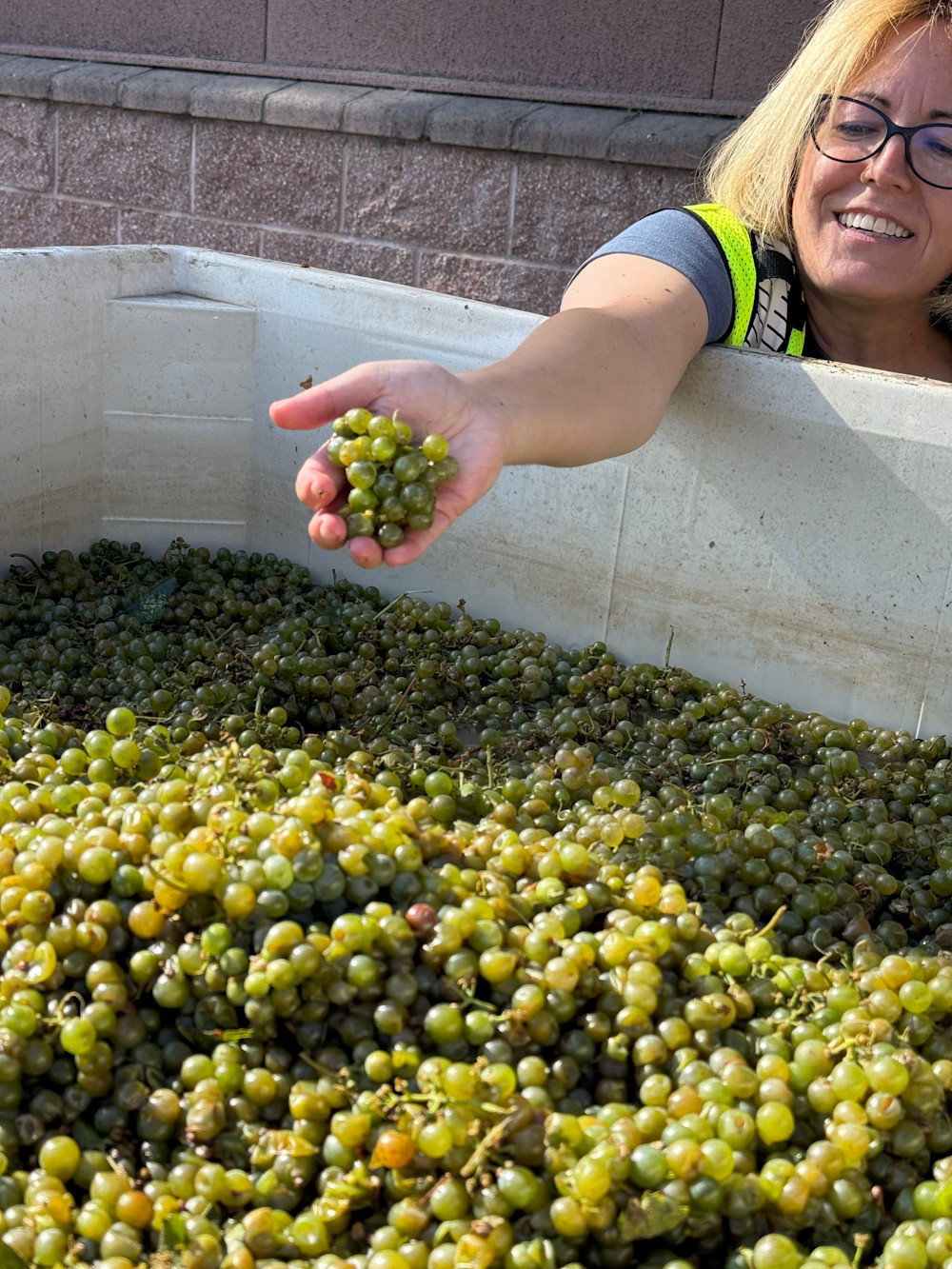 Naked USA winemaker Montse Reece – and the fruits of her labour