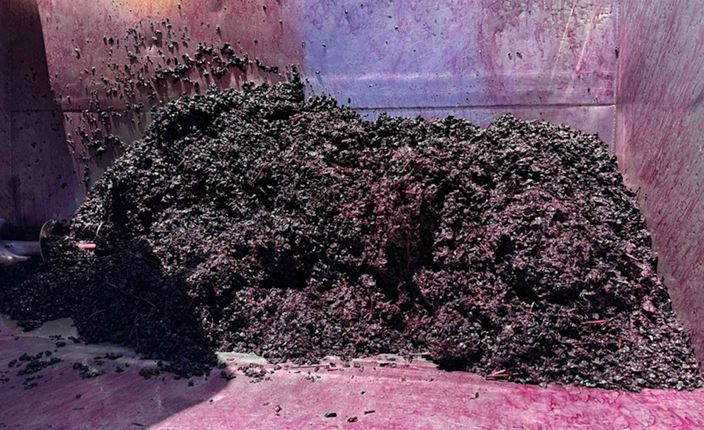 Big juicy purple Malbec! Another fantastic vintage in Margaret River for Nigel Ludlow.