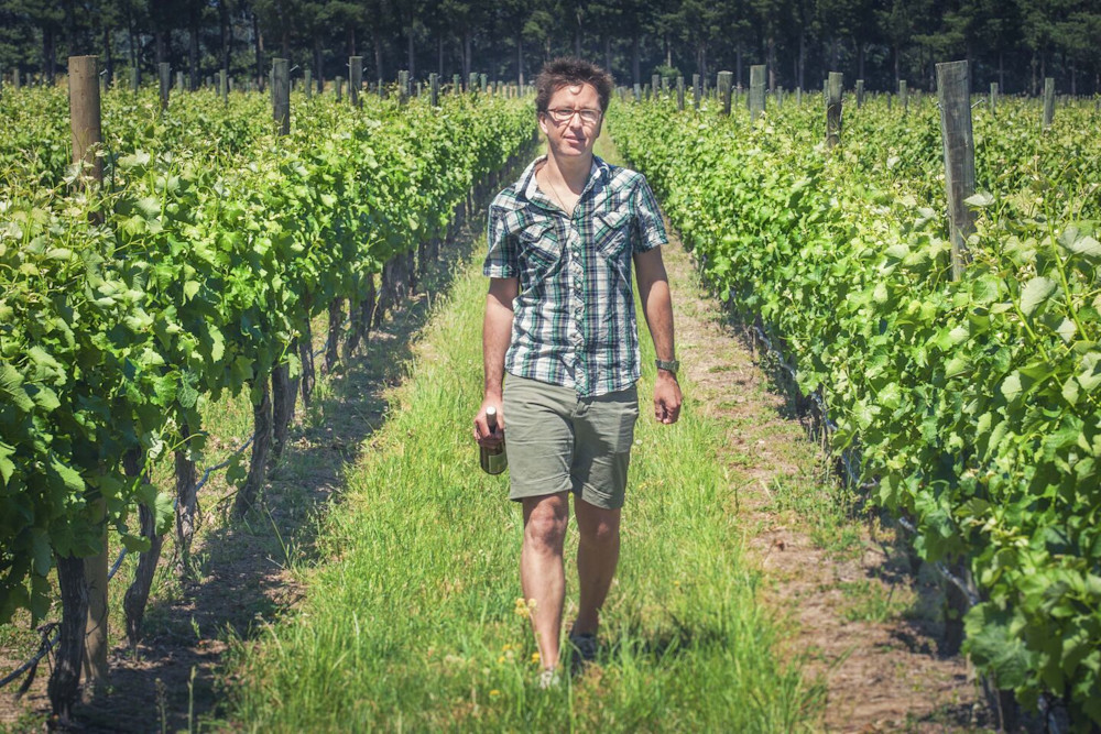 Man walking through vineyard with bottle of wine
