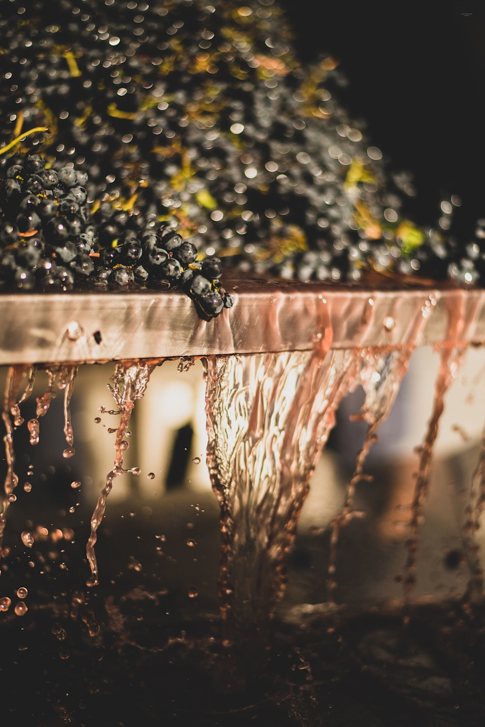 Grapes: in – Juice: flowing