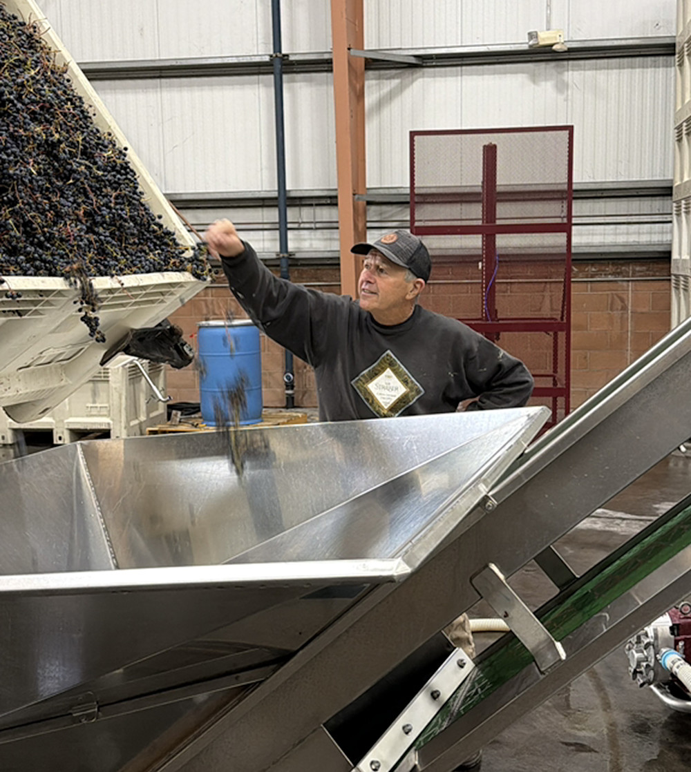 Rudy von Strasser during Harvest 2026.