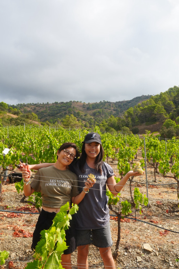 Some of Franck’s dedicated picking squad – organic fruit this good demands to be picked by hand.