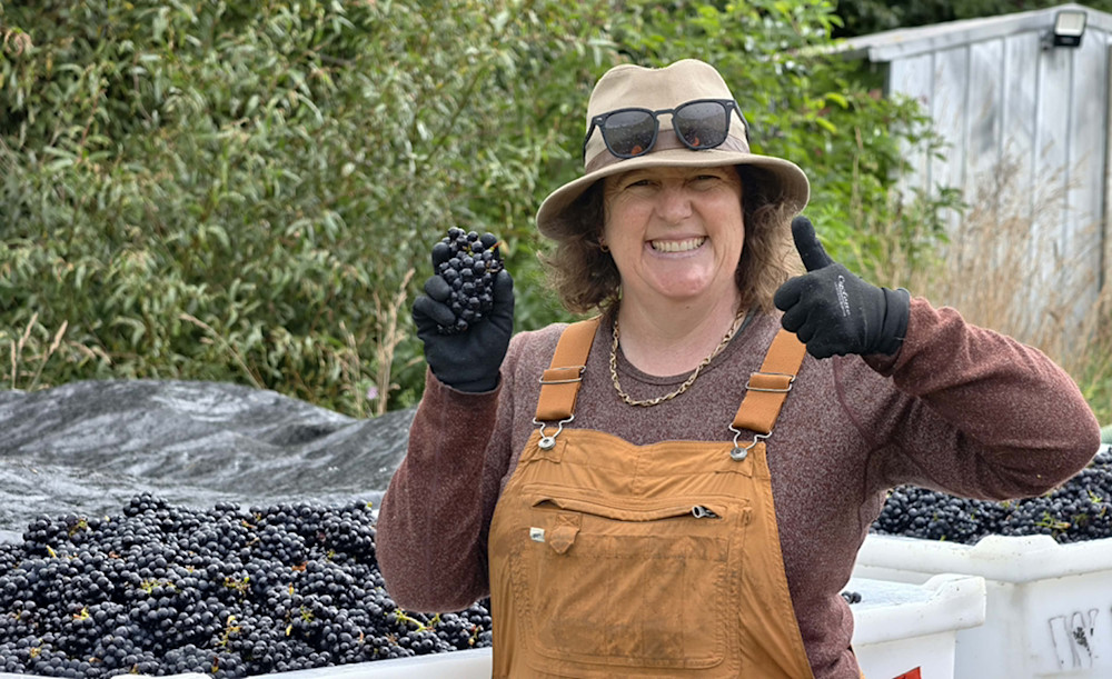 A chuffed Claudia Small with Pinot Noir grapes destined for their Penelope Reserve Pinot Noir.