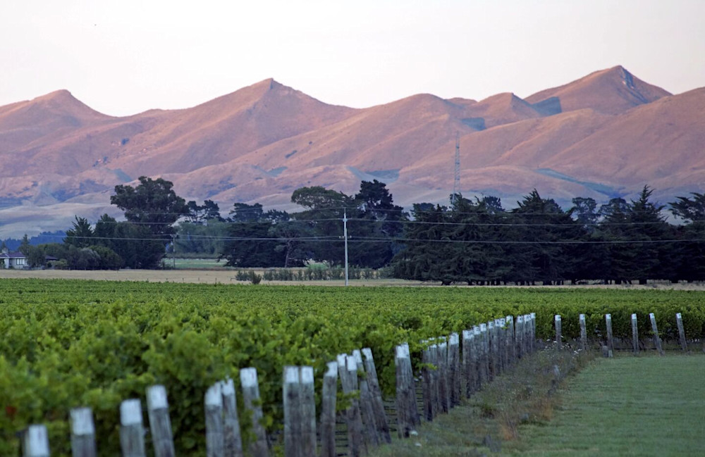In New Zealand, tasting rooms come with mountain views as standard. Take a hike, then take a sip.
