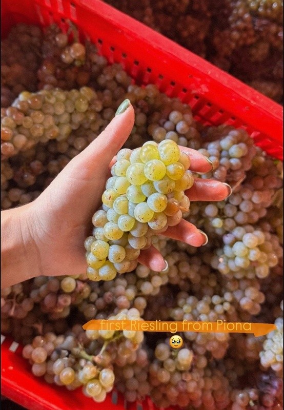 An exciting new chapter: in grape form