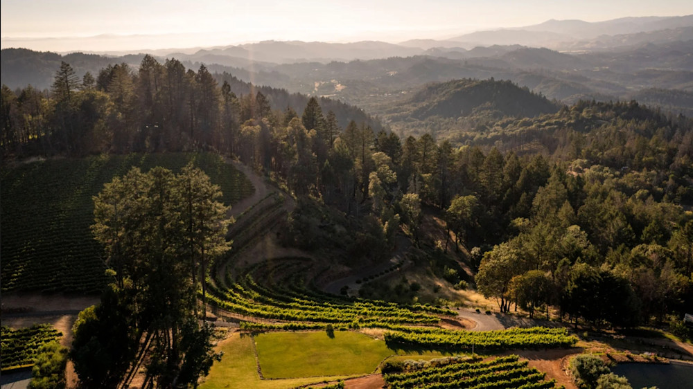 Diamond Mountain Vineyards ©Napa Valley Vintners