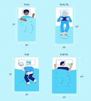 What Size Is A Large Twin Bed Hanaposy