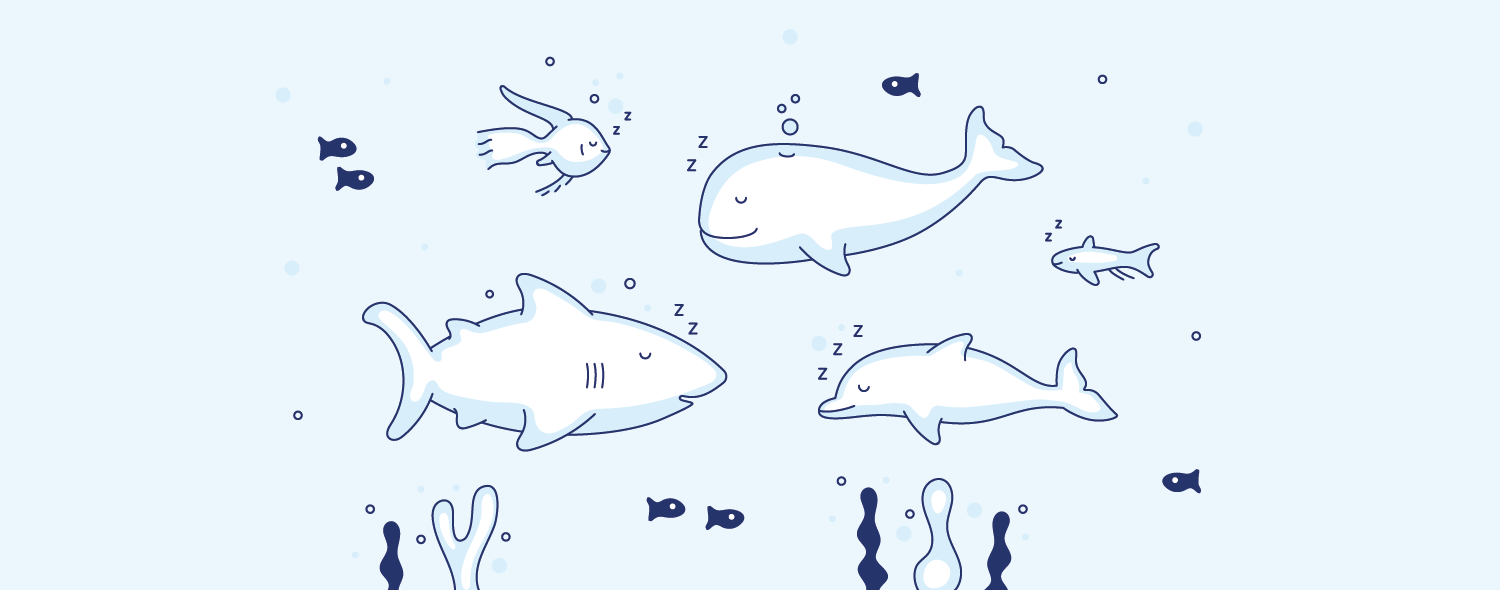 03 Whale, dolphin, shark