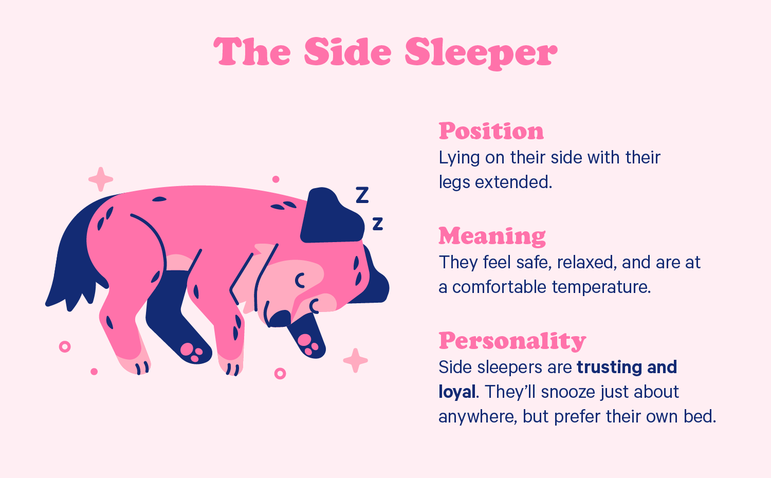 A dog sleeps on its side. Illustration.