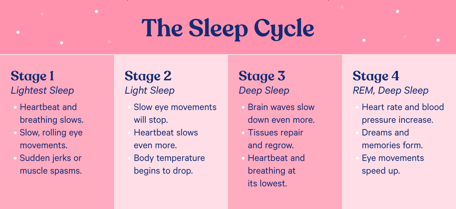 A chart outlining the following stages of sleep: 1. Lightest Sleep, 2. Light Sleep, 3. Deep Sleep, and 4. REM, Deep Sleep.