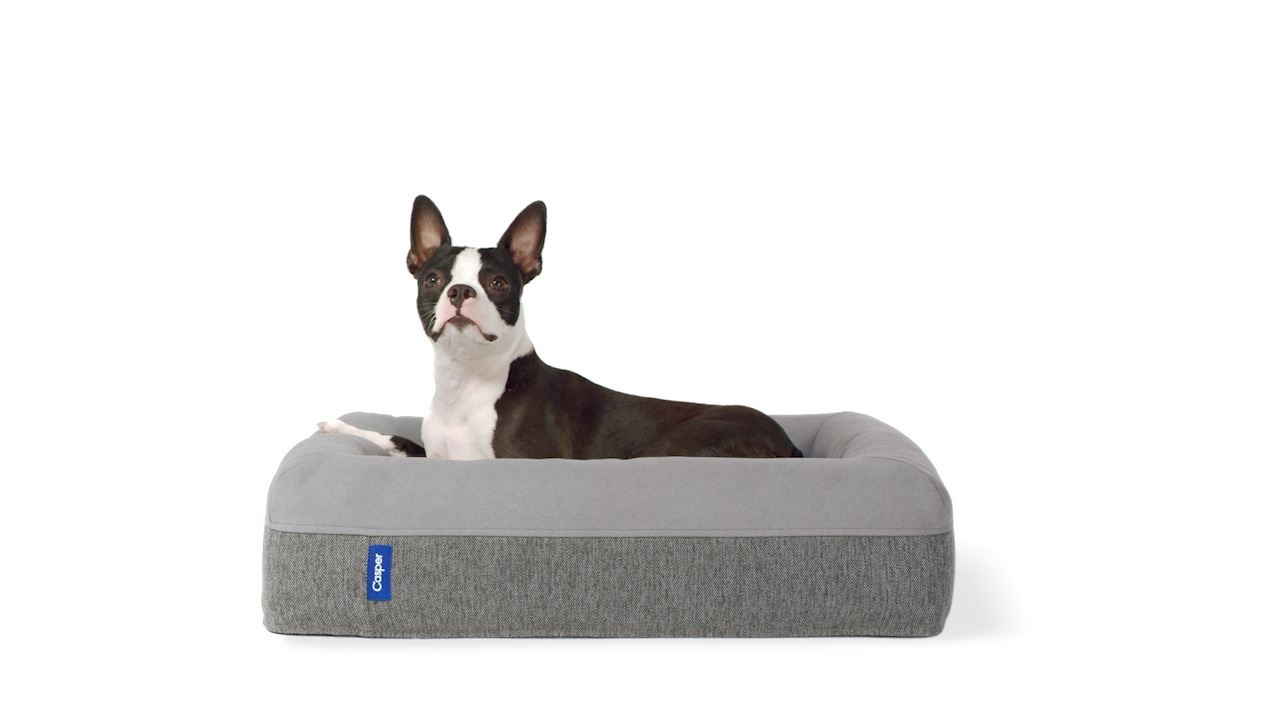 Memory Foam Dog Beds for Large, Medium 