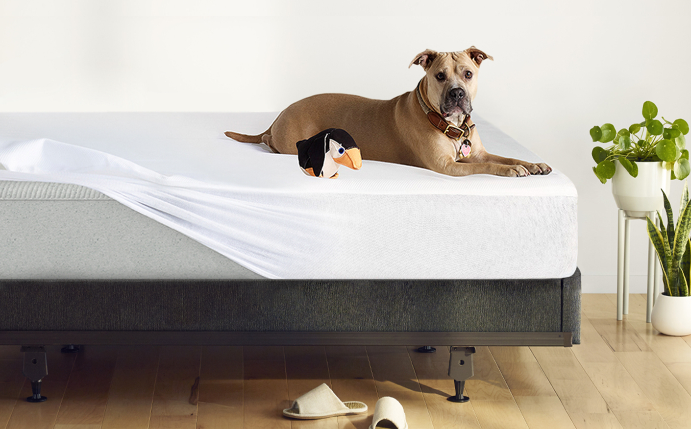 ikea double bed foam mattress