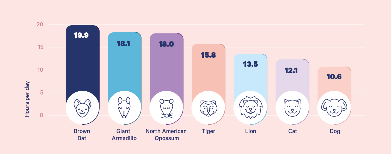 01 Chart - 2