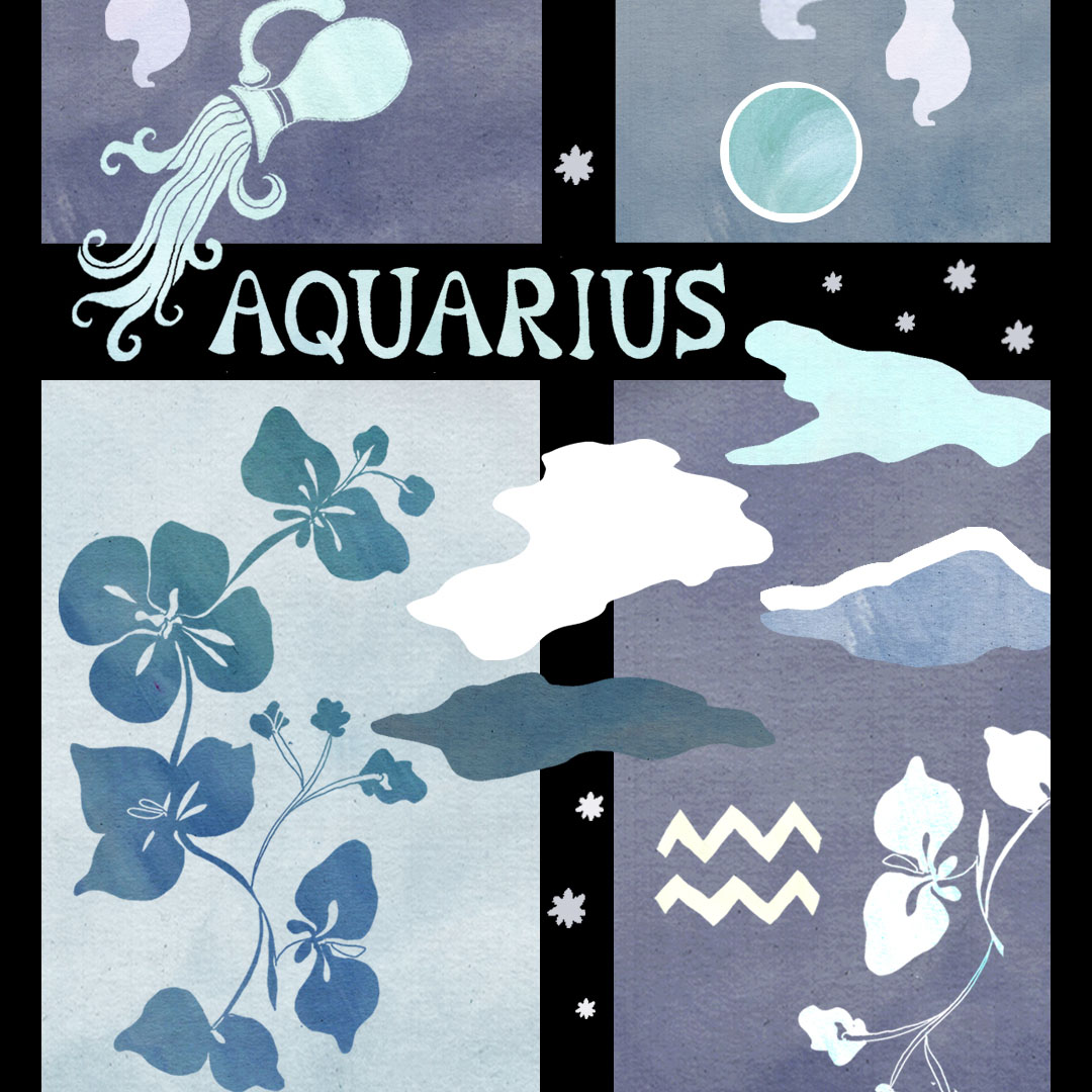 the aquarius edit 