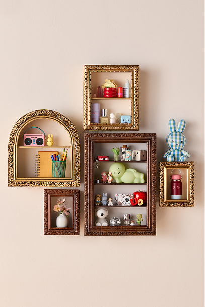 Storage and Organization 