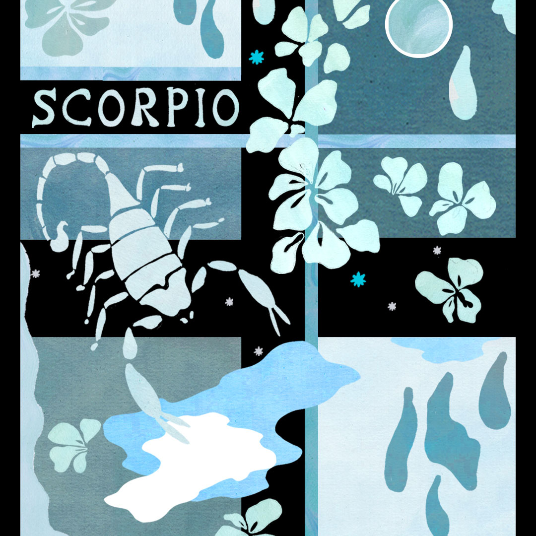 what to buy a scorpio 
