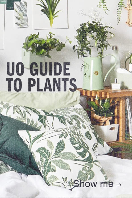 Guide to Plants