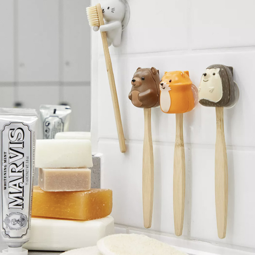 toothbrush holder