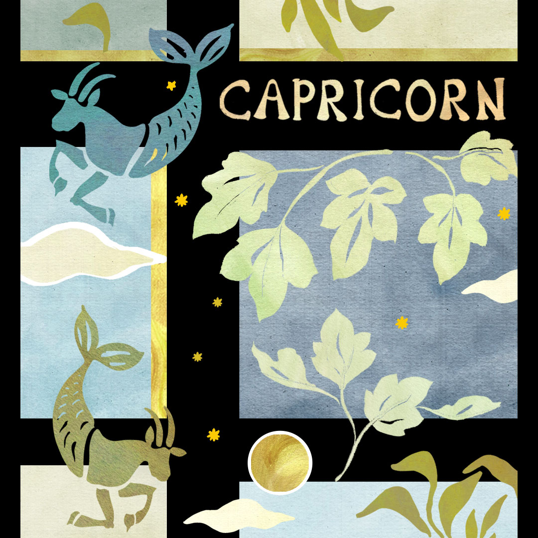 what to buy a capricorn star sign