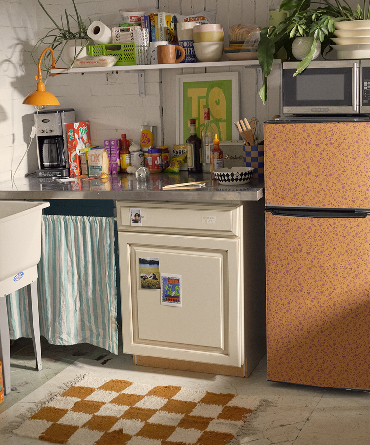 Dorm Kitchen Essentials For Small Spaces