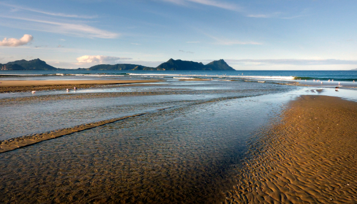 Image: Low tide at the beach (https://commons.wikimedia.org/wiki/File:Low_tide_at_the_beach._(24450140624).jpg) by Bernard Spragg. NZ on Wikimedia Commons.