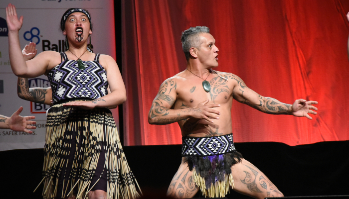 Colour photo of 2 people performing a waiata ā-ringa (action song). One is a woman in piupiu (flax skirt), pari (bodice) and tīpare (headband). One is a man in maro (short kilt). 