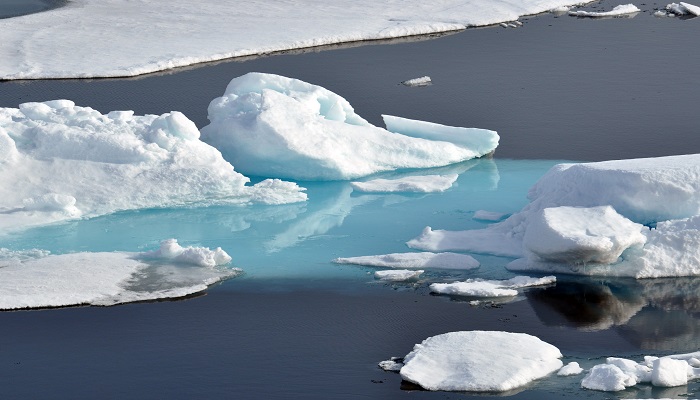 Colour photo showing large and small pieces of Arctic ice on the ocean water.