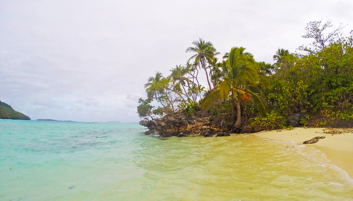Colour photo of a beach on Nuku island in Tonga There are palm trees along the shore.