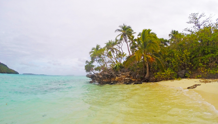 Image: Nuku island, Kapa, Vava'u, Kingdom of Tonga (https://commons.wikimedia.org/wiki/File:Nuku_island,_Kapa,_Vava%27u,_Kingdom_of_Tonga_-_panoramio_(1).jpg) by David Broad on Wikimedia Commons.
