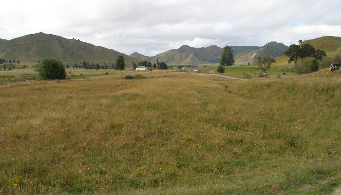 Colour photo of a house and cleared land where the Moutohora railyard and terminus was. The area was heavy bush before the railway arrived.