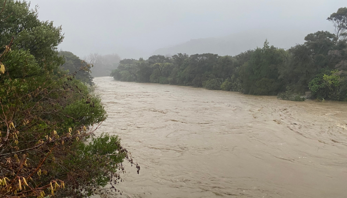 Image: Parapara River in flood 72 (https://commons.wikimedia.org/wiki/File:Parapara_River_in_flood_72.jpg) by Schwede66 on Wikimedia Commons. CC BY 4.0 (https://creativecommons.org/licenses/by-sa/4.0/deed.en). Image cropped.
