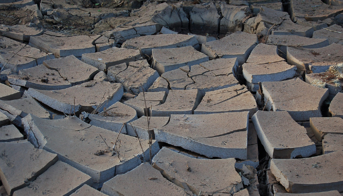 Colour photo of a dry riverbed in Kenya — showing deep cracks in the ground.