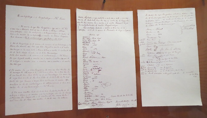 Colour photo of an exhibit showing copies of 3 sheets of He Whakaputanga o te Rangatiratanga o Nu Tireni (the Declaration of Independence of the United Tribes of New Zealand). It shows signatures on 2 of the sheets.