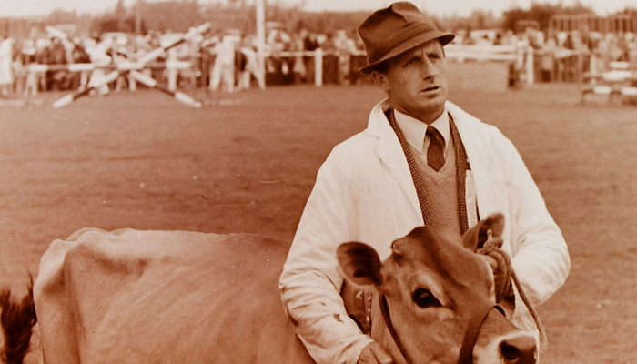 A sepia toned photo of a farmer wearing a hat and white with a cow at an A&P (Agricultural and Pastoral) show.