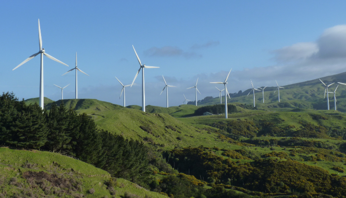 Colour photo of wind turbines across the hills of the Te Āpiti wind farm.
