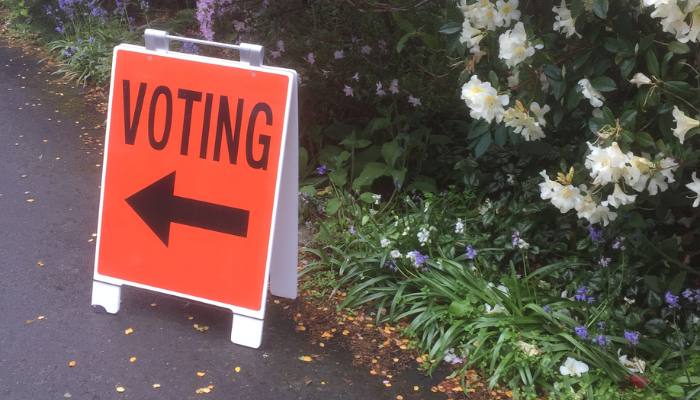 A bright orange 'Voting' sign next to a bush with colourful flowers.