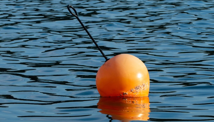 Image: Orange buoy in water (https://commons.wikimedia.org/wiki/File:Orange_buoy_in_water.jpg) by  W.carter on Wikimedia Commons.