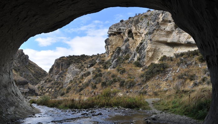 Image: Cave Stream In New Zealand 008 (https://commons.wikimedia.org/wiki/File:Cave_Stream_in_New_Zealand_008.jpg) by letisha81 on Wikimedia Commons.
