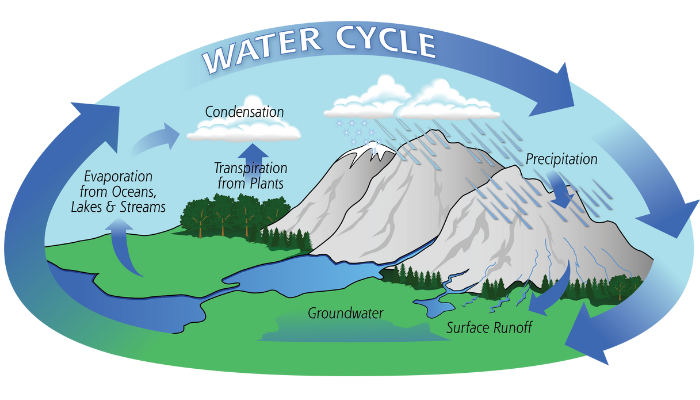 Image: Water Cycle (8265046380) (https://commons.wikimedia.org/wiki/File:Water_Cycle_(8265046380).png) by Atmospheric Infrared Sounder on Wikimedia Commons.
