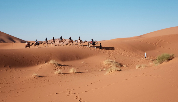 Colour photo of people travelling across a desert — 8 of them are riding camels.