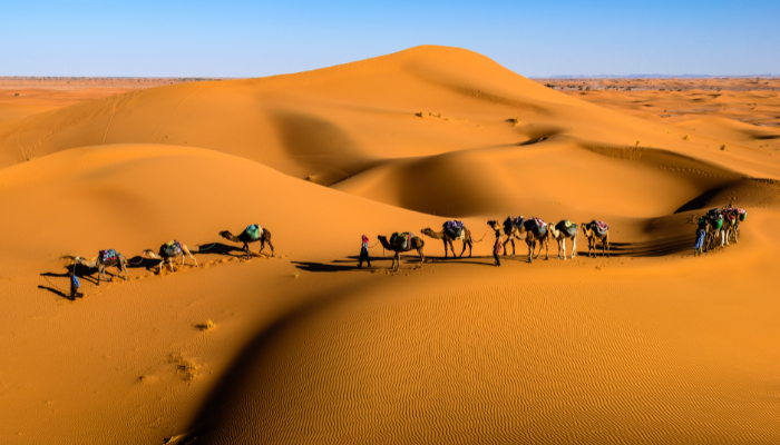Image: Caravan in the desert (https://commons.wikimedia.org/wiki/File:Caravan_in_the_desert.jpg) by © Sergey Pesterev on Wikimedia Commons. CC BY-SA 4.0 (https://creativecommons.org/licenses/by-sa/4.0/). Image cropped.
