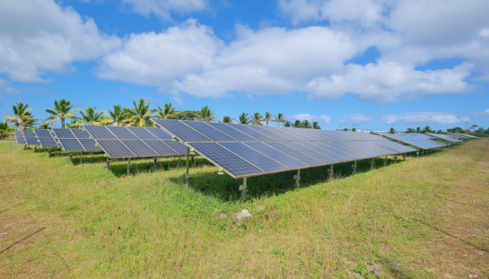 Image: Photovoltaic power station with solar panels near Alofi South (https://commons.wikimedia.org/wiki/File:Photovoltaic_power_station_near_Alofi_South.jpg) by  Pseudopanax on Wikimedia Commons. Public Domain. Image cropped.
