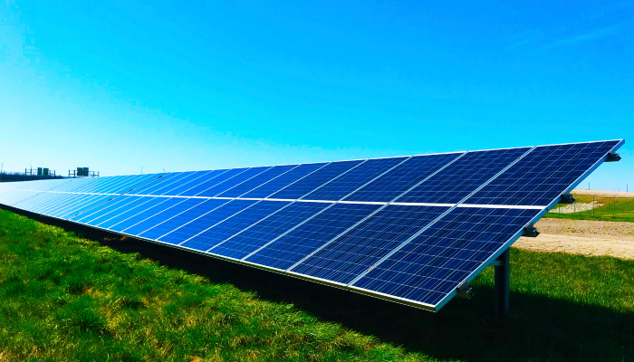 Colour photo of a long line of solar panels in a green field with the sun shining.