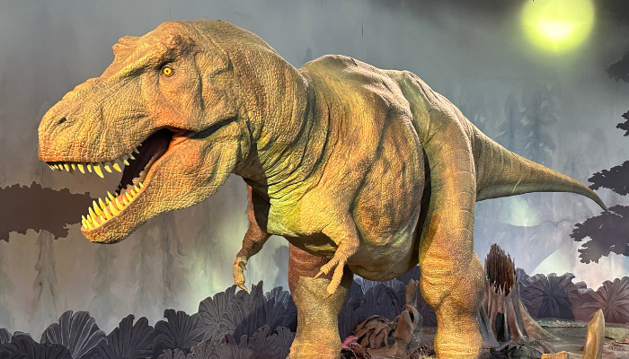 Image: Tyrannosaurus rex model of the Natural History Museum London (https://commons.wikimedia.org/wiki/File:Tyrannosaurus_rex_model_of_the_Natural_History_Museum_London.jpg) by APK on Wikimedia Commons. CC BY 4.0 (https://creativecommons.org/licenses/by/4.0/deed.en). Image cropped.
