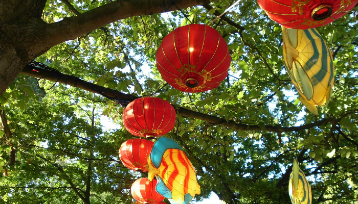 Colour photo of Chinese lanterns on trees. Some are red and oval-shaped. The others are fish-shaped.