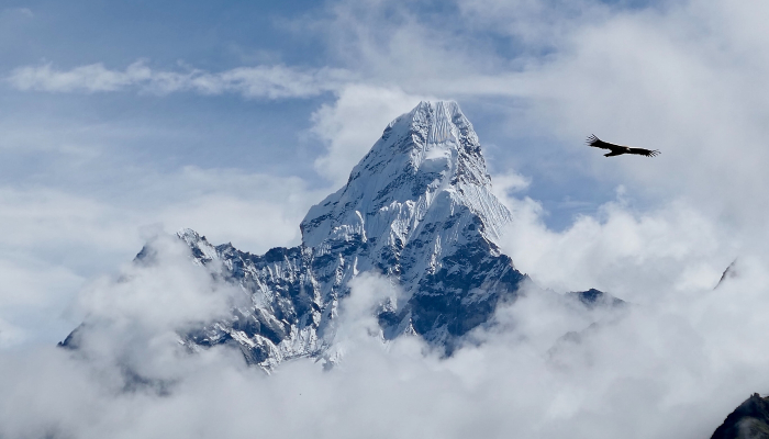 Image: Himalayas (https://unsplash.com/photos/sqdY_rJg8wg) by Ben Lowe on Unsplash.
