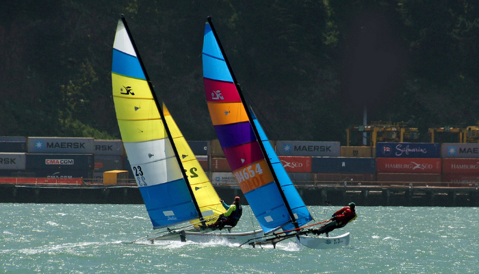 Colour photo of 2 one-person sailboats racing. They use their sail to catch the wind and power it forward.