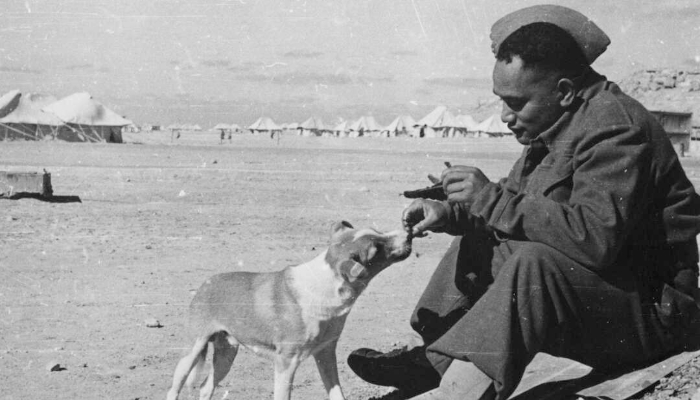 Black and white photo of a Māori Battalion soldier sitting down and sharing food with Paddy the dog.